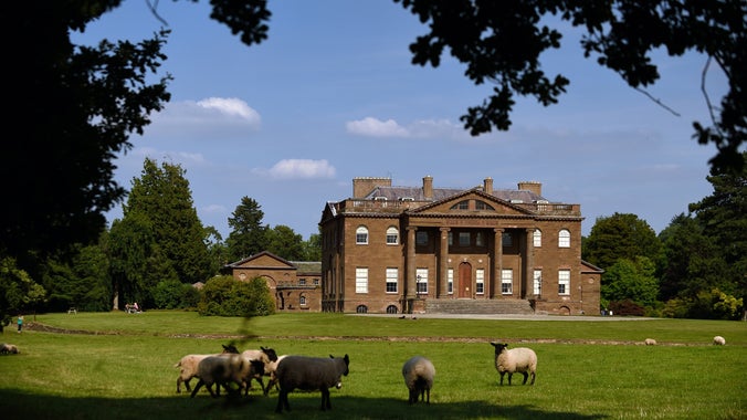 A view of Berrington Hall in the sunshine, framed by some foliage from trees. There are sheep in the grass in front of the mansion.